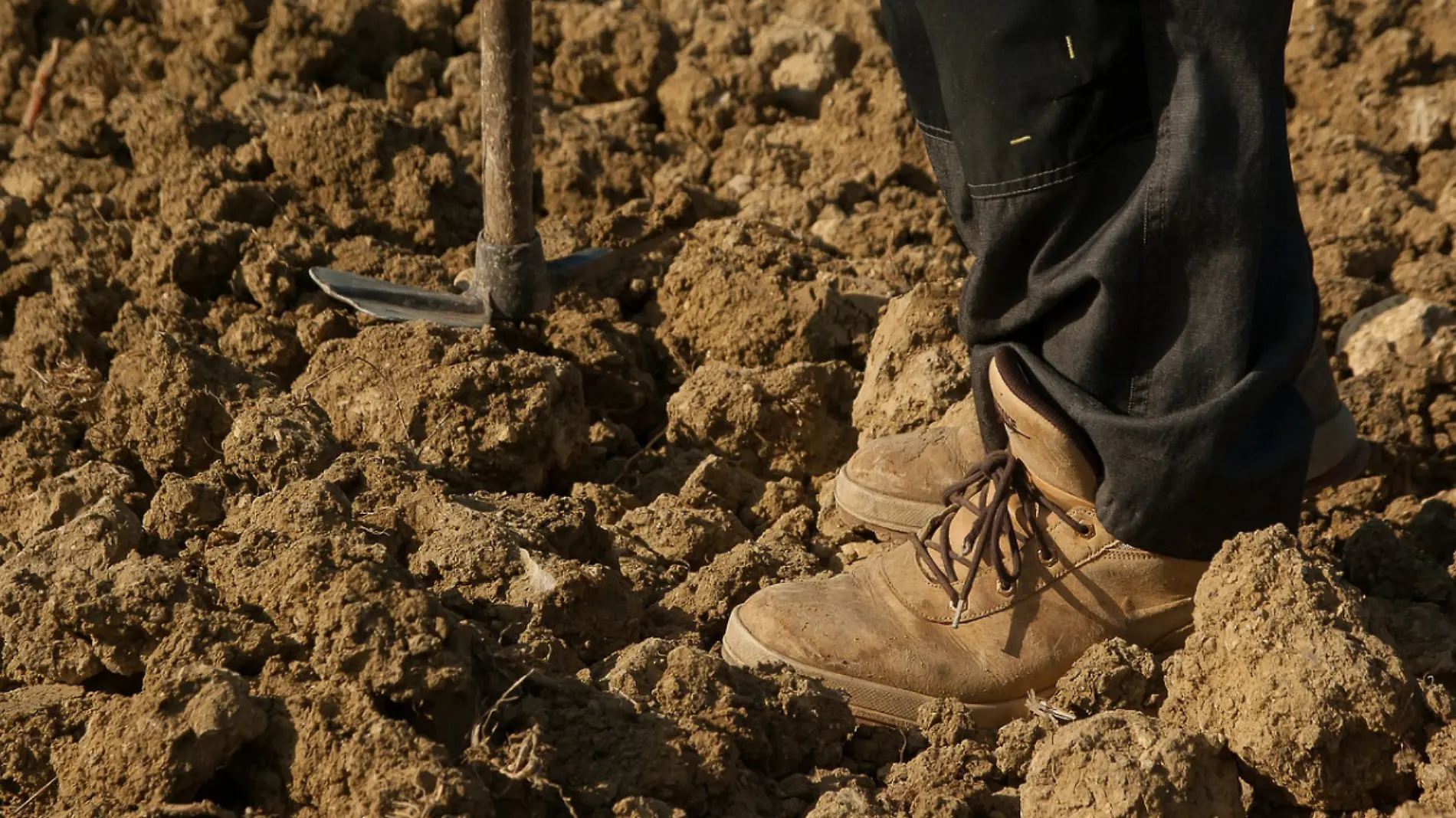 Crimen siembra dinero para el campo